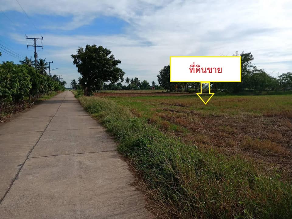 ที่ดิน ด้านหลังมีสระน้ำ  พิษณุโลก 3 งาน