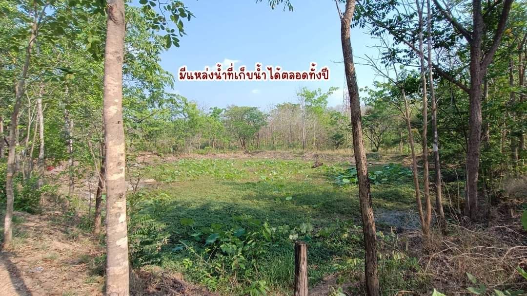ขายที่ดิน ติดถนนหมายเลข 1 ลำปาง-เชียงใหม่ 13 ไร่ 1 งาน 64 ตารางวา