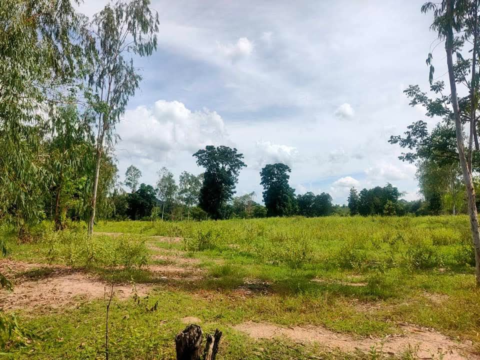 ขายที่ดินตาก อำเภอเมือง ที่ดินแปลงสวย 42 ไร่