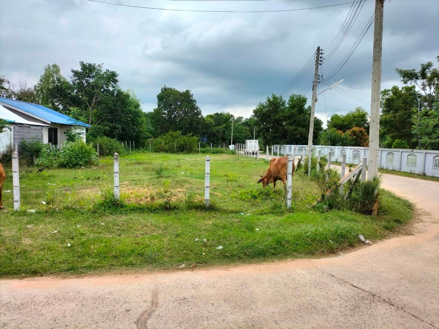 ขายที่ดินจ.อุบลราชธานี 176ตรว. แปลงหัวมุม ที่ดินสวย ถมแล้ว ล้อมรั้วไว้แล้ว ใกล้ที่ทำการผู้ใหญ่บ้านนาอุดม ต.ขามใหญ่ ปากซอยติดกับศูนย์รถยนต์ MG 