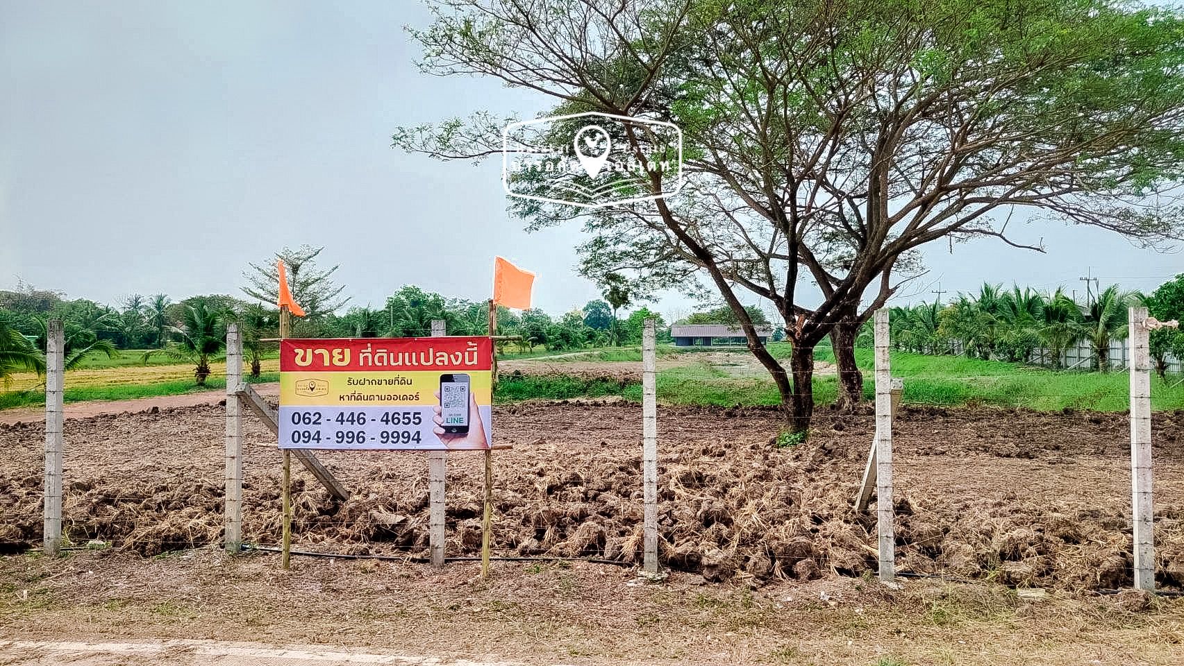หน้าติดถนน หลังติดคลอง ทำเลทอง ราคาถูก ขายพร้อมสิ่งปลูกสร้าง