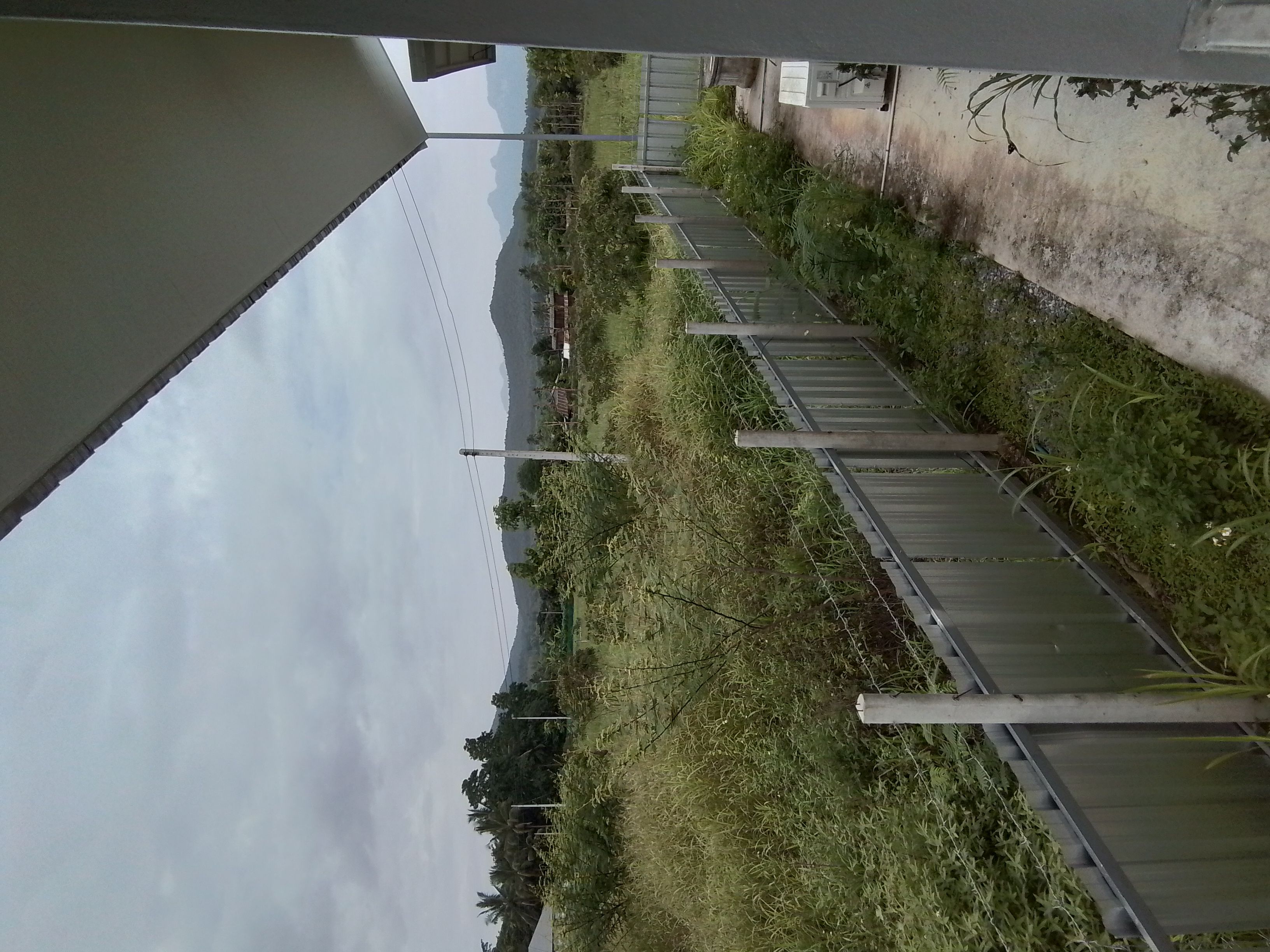 บ้านพร้อมที่ดิน เชียงดาว