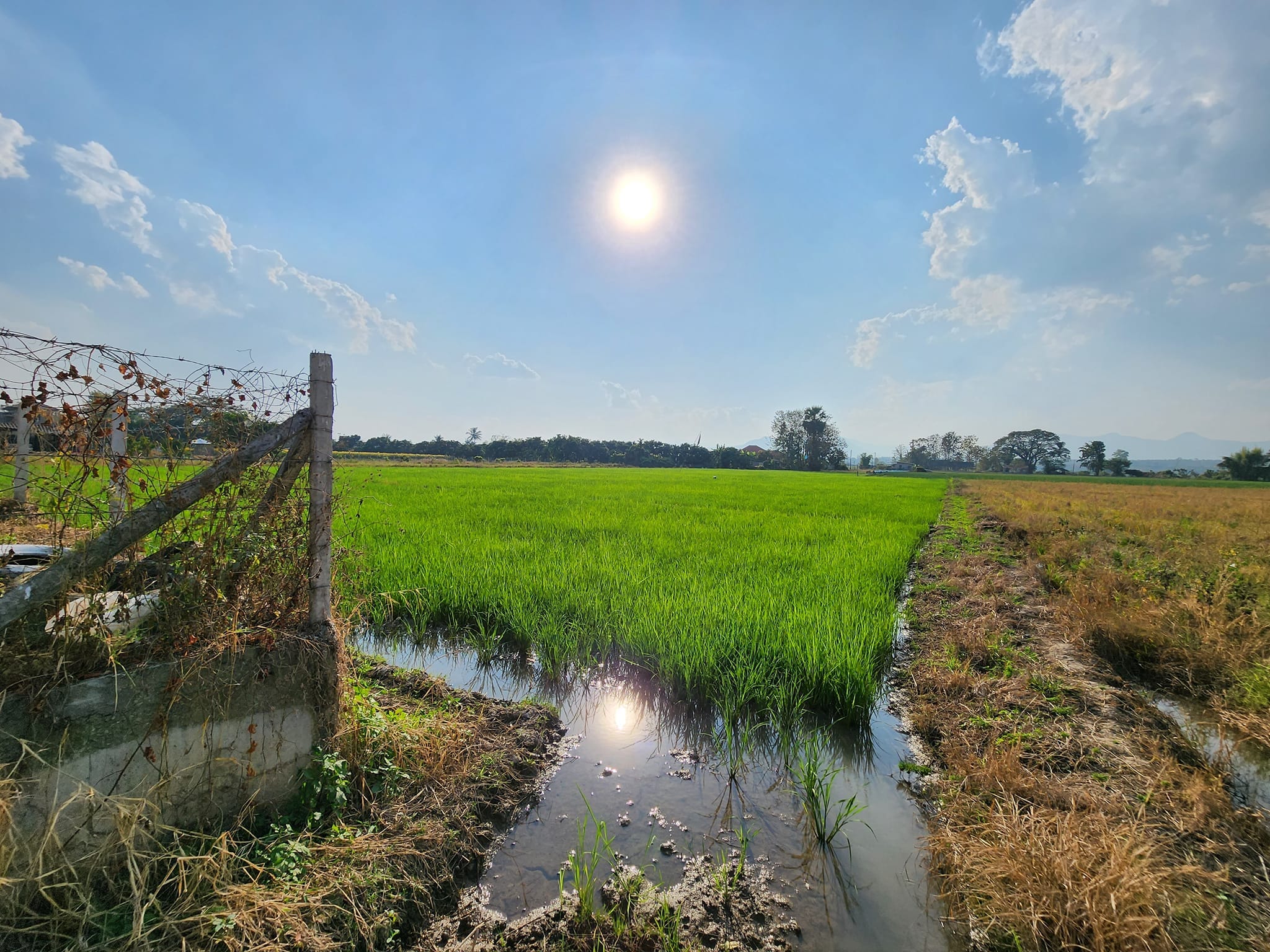 ขายที่ดินแปลงสวยวิวงาม อ.แม่วาง จ.เชียงใหม่