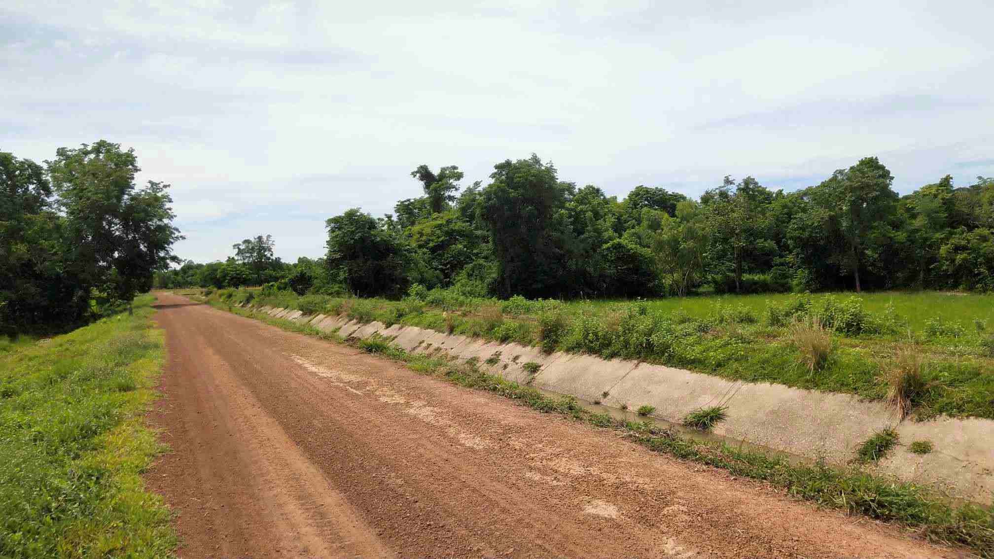 ขายที่ดินพิษณุโลก 