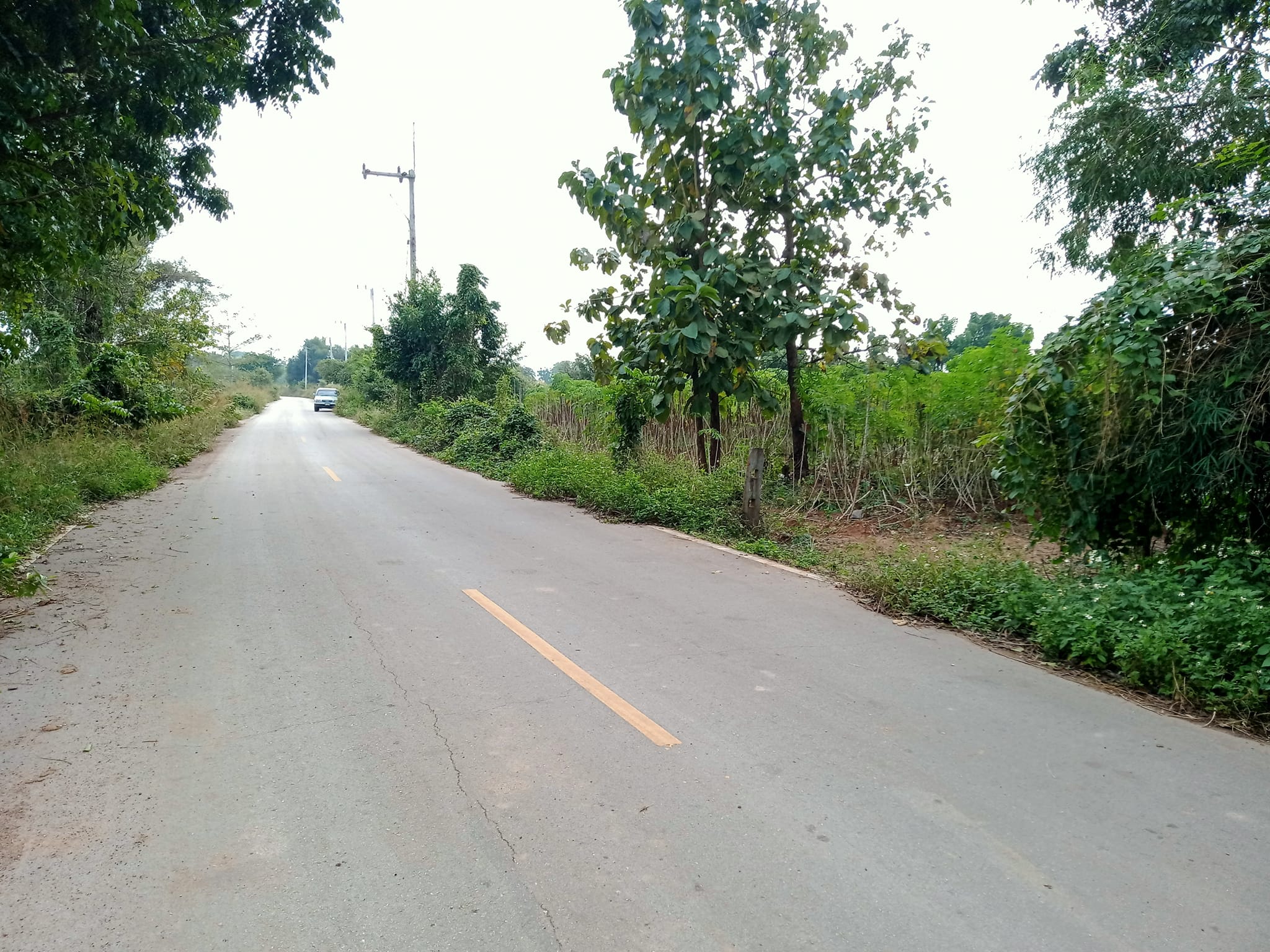 ขายที่ดินลำปาง แม่ทะ 3-3-58