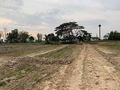 ที่ดินเป็นที่นาติดหมู่บ้าน ทำเลดี พะเยา 10 ไร่