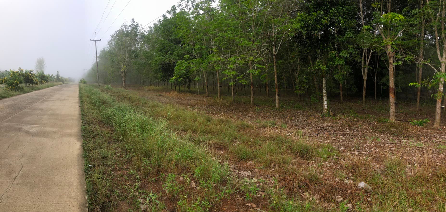 ที่ดินเปล่า จันทบุรี