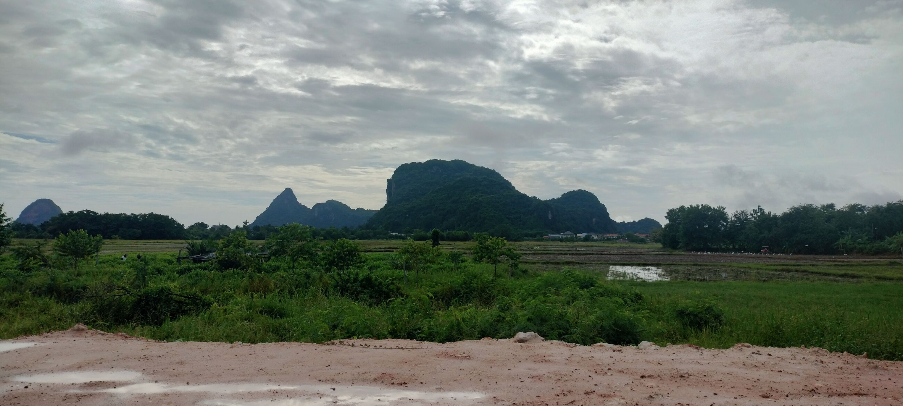 ขายที่ดิน 3 ห้อง ตรงข้ามหมู่บ้านต้นรัก กว้าง13ม.ลึก20ม. 68 ตร.ว.