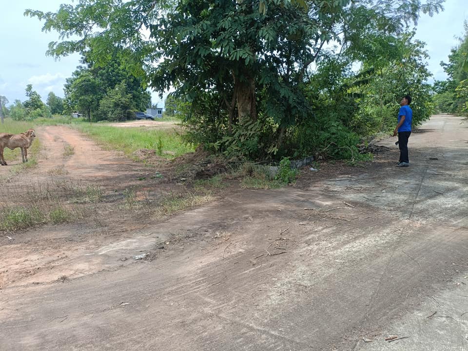 ที่ดิน บ้านท่อน ต.โนนท่อน อ.เมือง จ.ขอนแก่น 1 งาน