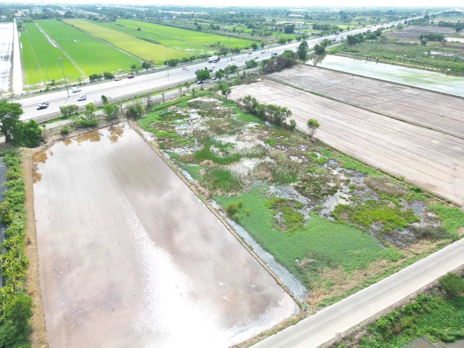 ขายที่ดินปทุมธานี อำเภอคลองหลวง ที่ดินแปลงสวย บรรยากาศดี 