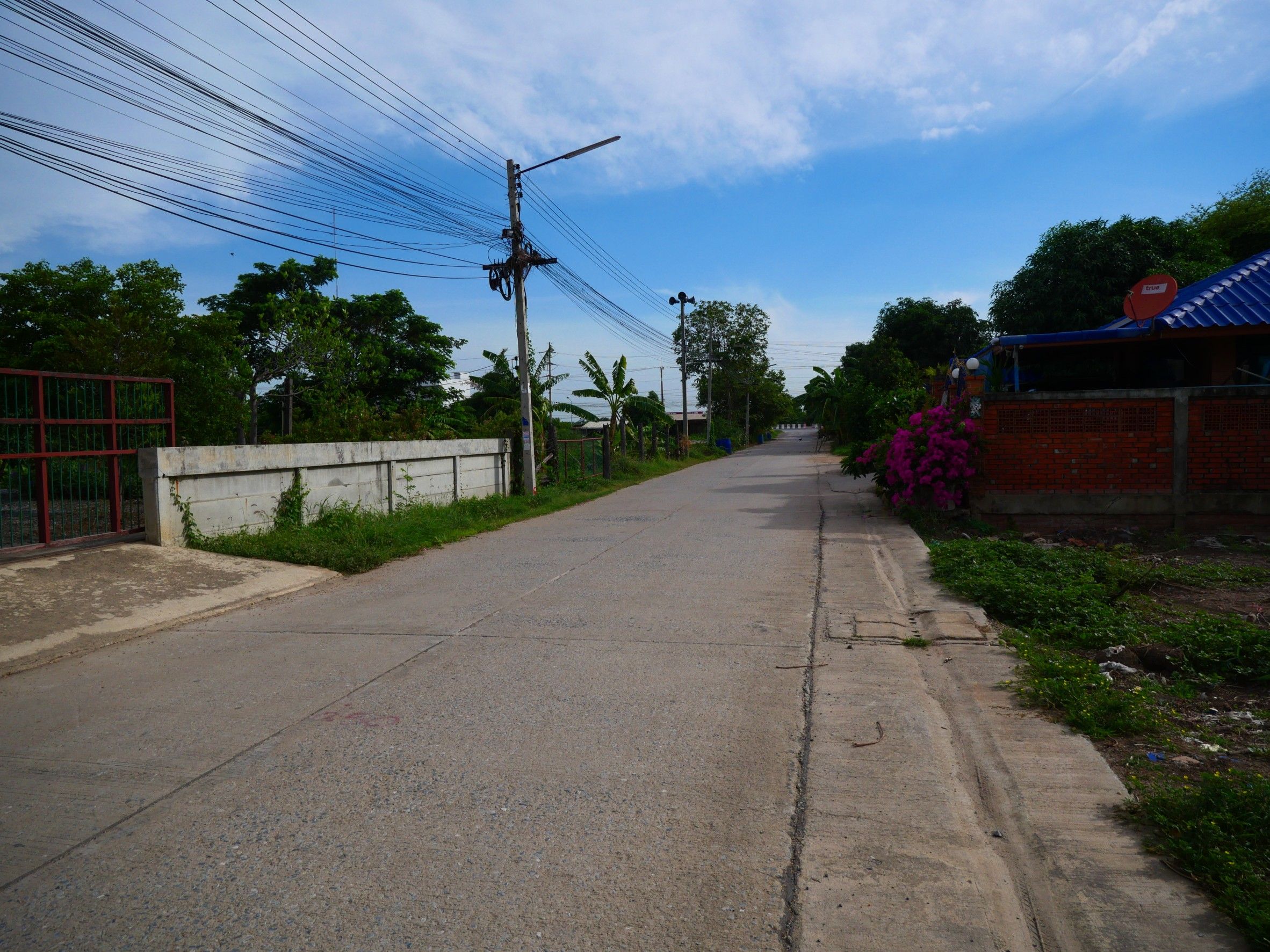 ที่ดินในเมือง หน้าโรงพยาบาลป่าโมก ที่แปลงสวย, อ่างทอง