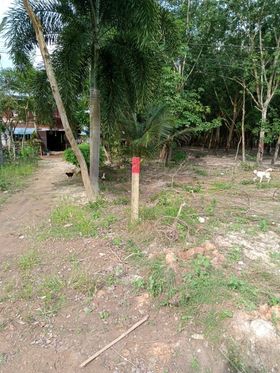 ที่ติดเปล่าติดถนน คอนกรีต ระยอง 18-2-44.5