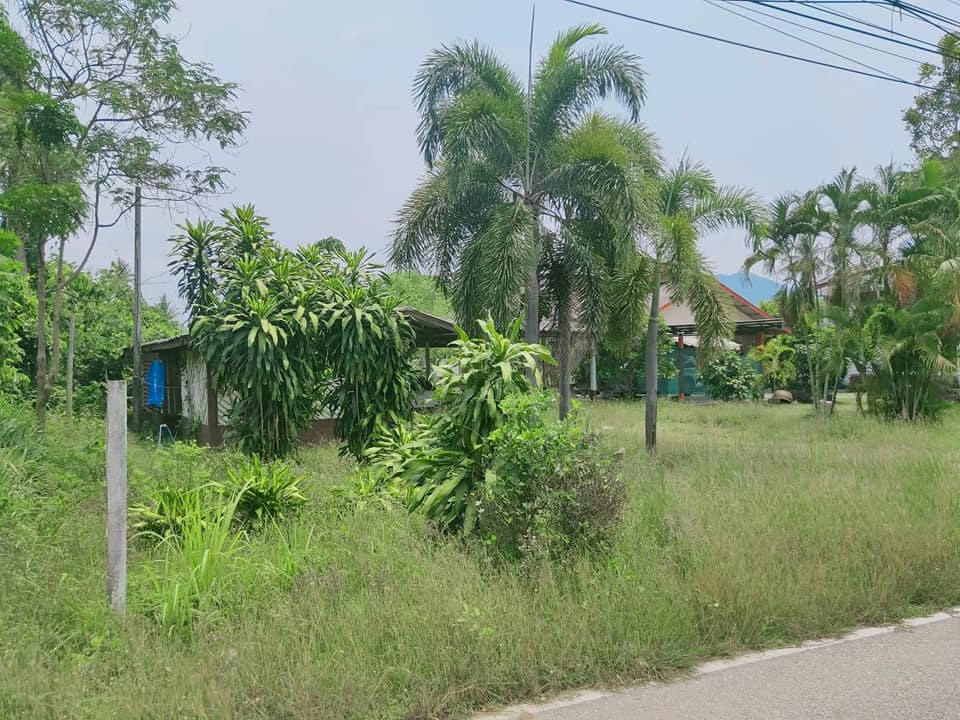 ที่ดินติดริมน้ำปิง ต.วังหิน ตาก 1-0-38.8