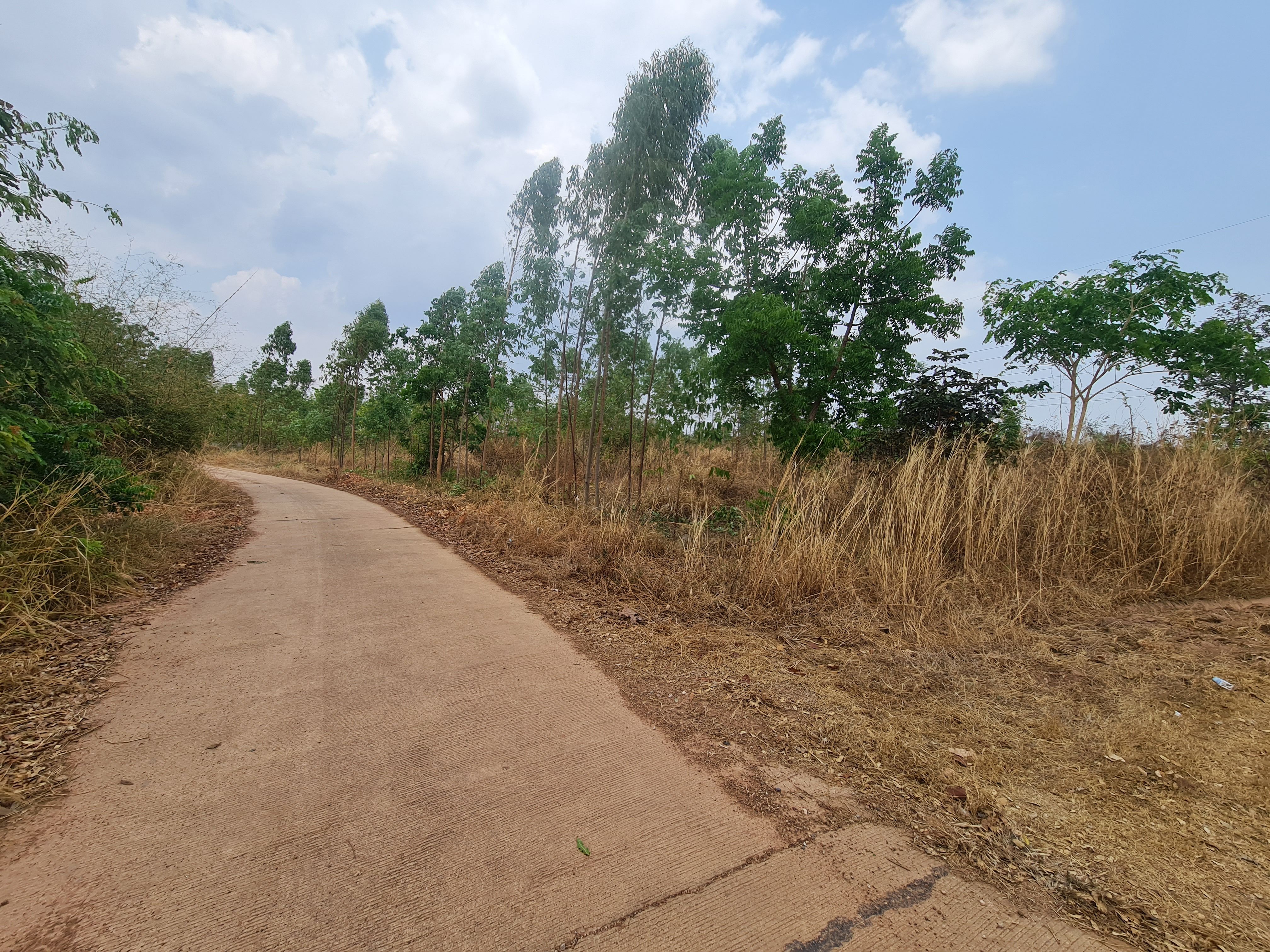 ที่ดินบ้านโนนม่วง