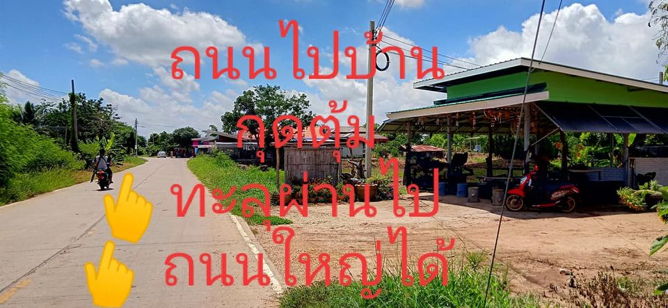 ที่ดินพร้อมสิ่ีงปลูกสร้าง ชัยภูมิ 1-3-30 ไร่