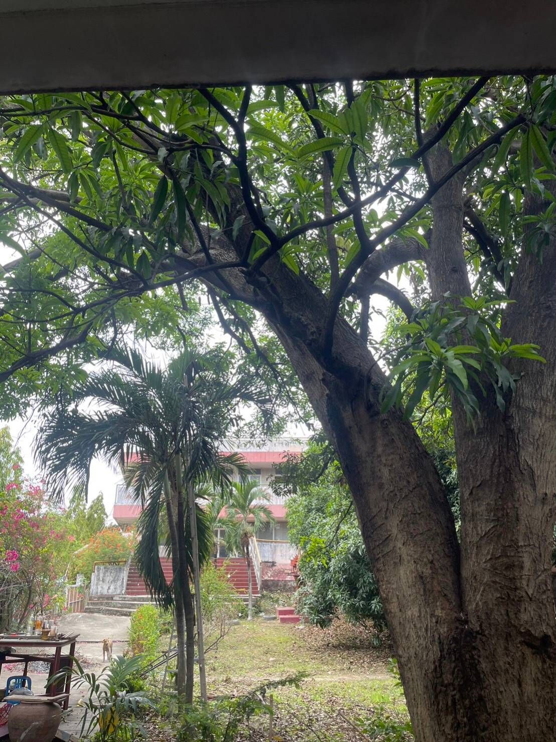 ขายและเช่า ที่ดิน 1 ไร่ 40 ตรว. ติดถนนหลักเพชรเกษม ซอย 110