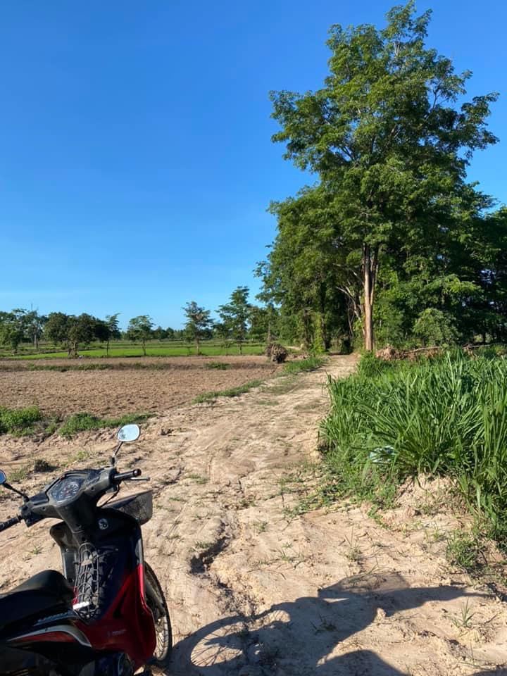 ขายที่ดินด่วน พื้นที่สวยมาก ต.นากระแซง อ.เดชอุดม จ.อุบลราชธานี 5-0-96 ตร.ว.