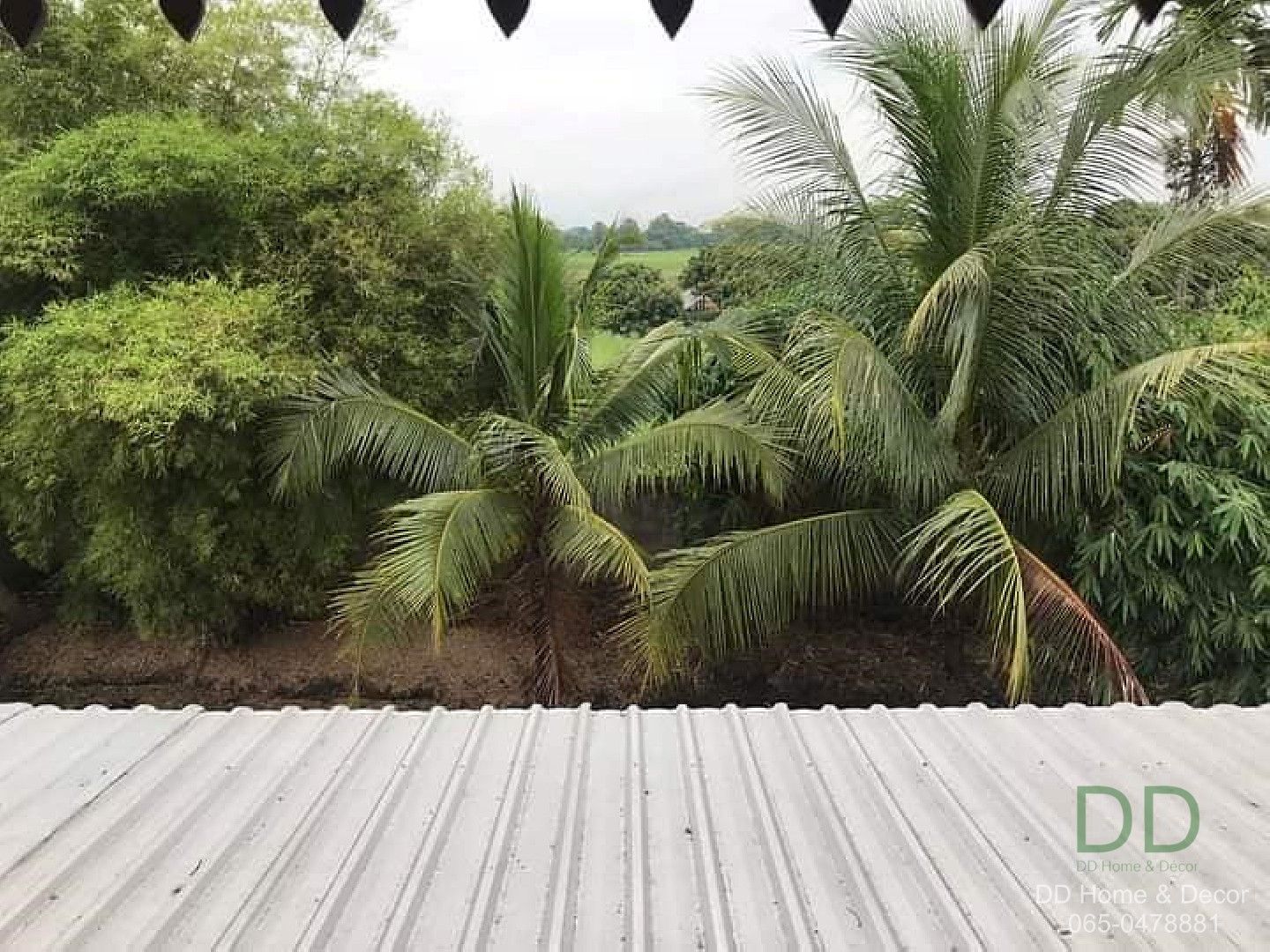 DD-0217 ขายบ้านสวน 2 หลัง ขนาด 2 ไร่ 2 งาน ต.หนองตอง อ.หางดง เชียงใหม่