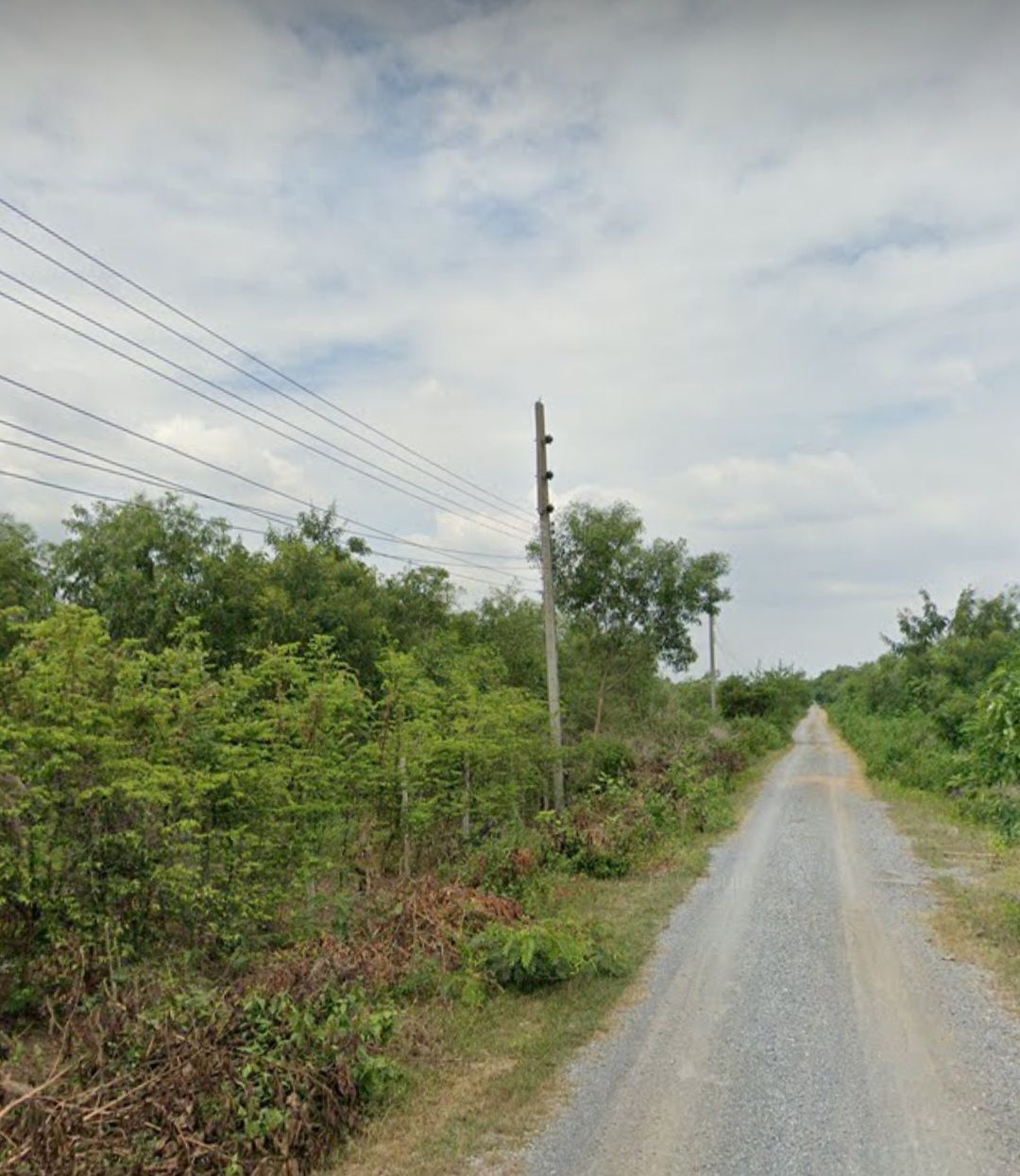 ขายถูกที่ดินสระบุรี แปลงสวย บรรยากาศดี อ.วิหารแดง สระบุรี 2ไร่ 