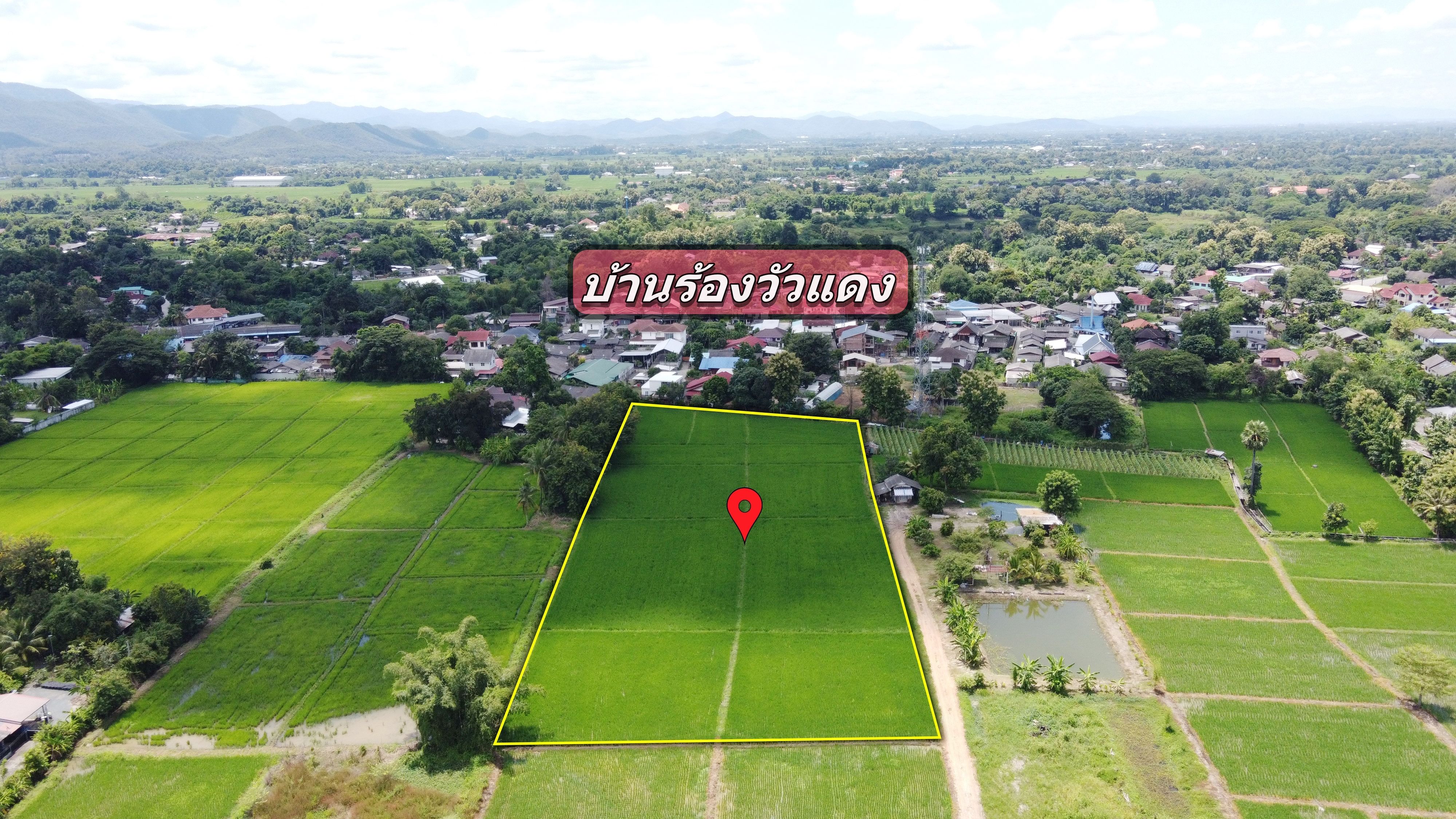 ที่นา 6-3-88 ไร่ (ใกล้ถนนตัดใหม่ 150เมตร ที่ดินมีอนาคต วิวดอย)