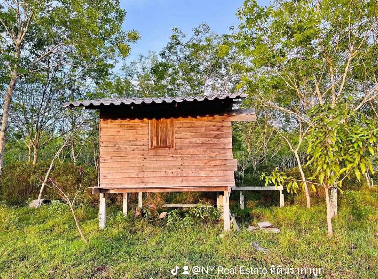  **ขายที่ดินสวนยางพร้อมสวนผลไม้ 3 ไร่ ในพะวง สงขลา **
