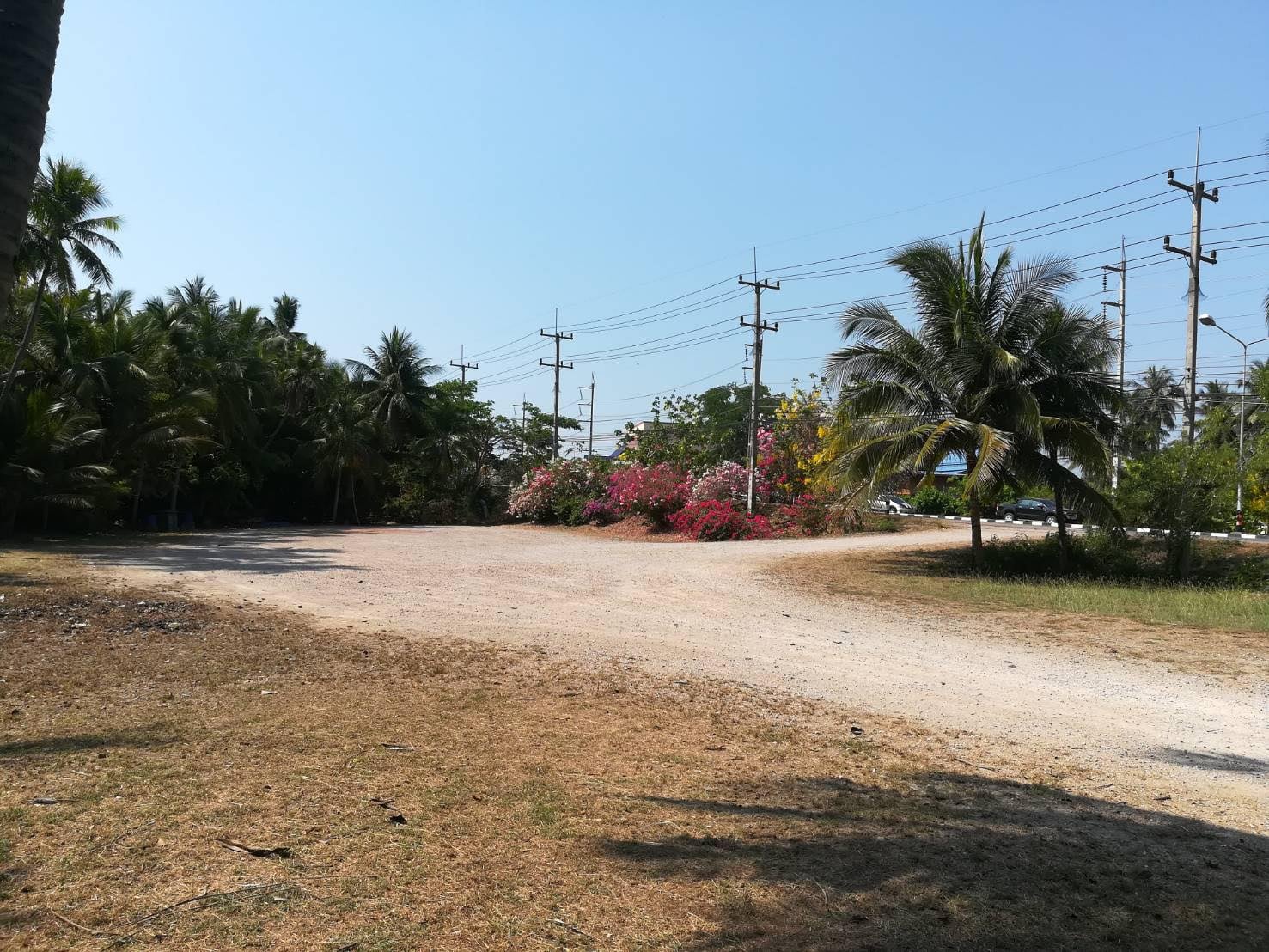 ที่ดินบางเปล่าสมุทรสงคราม 7-3-60