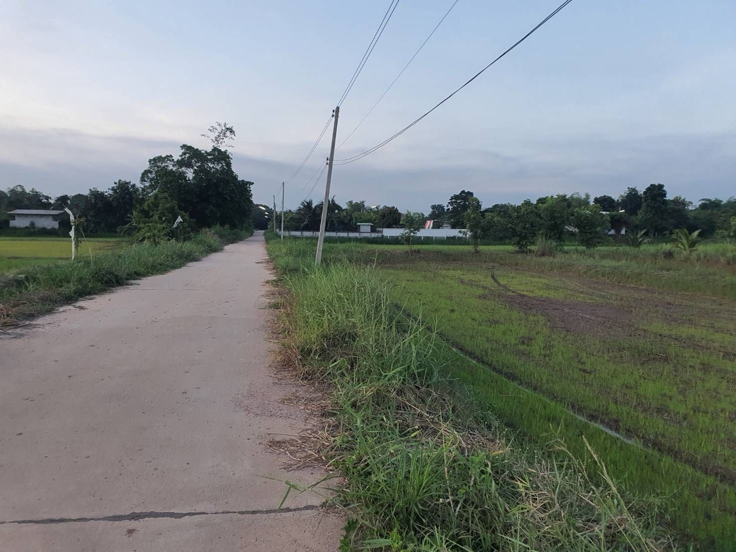 ขายที่ดินขอนแก่น อำเภอเมือง ที่ดินเปล่าแปลงสวย หน้ากว้าง ติดถนนสาธารณะ น่าลงทุนมาก 7-2-43.8 ไร่.