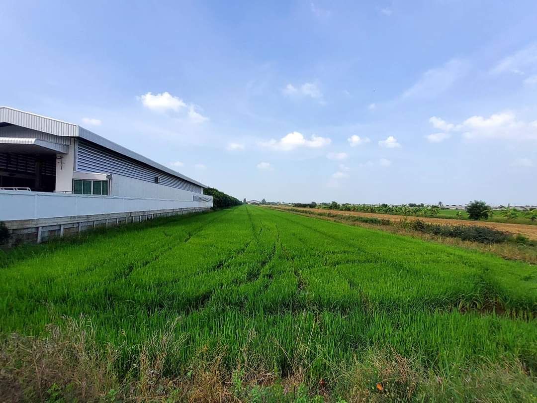 ขายที่ดินปทุมธานี อำเภอลาดหลุมแก้ว ที่ดิน 15 ไร่ 