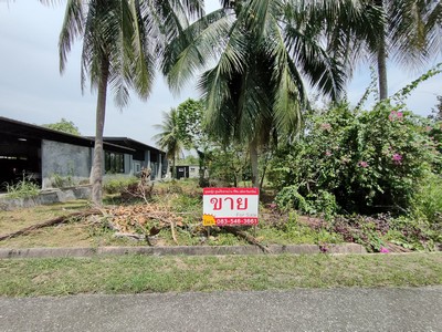 ขาย ที่ดิน โครงการบ้านเนินน้ำ  โครงการติดอ่างเก็บน้ำห้วยขุนจิต  202 วา ติดถนนหลักโครงการ