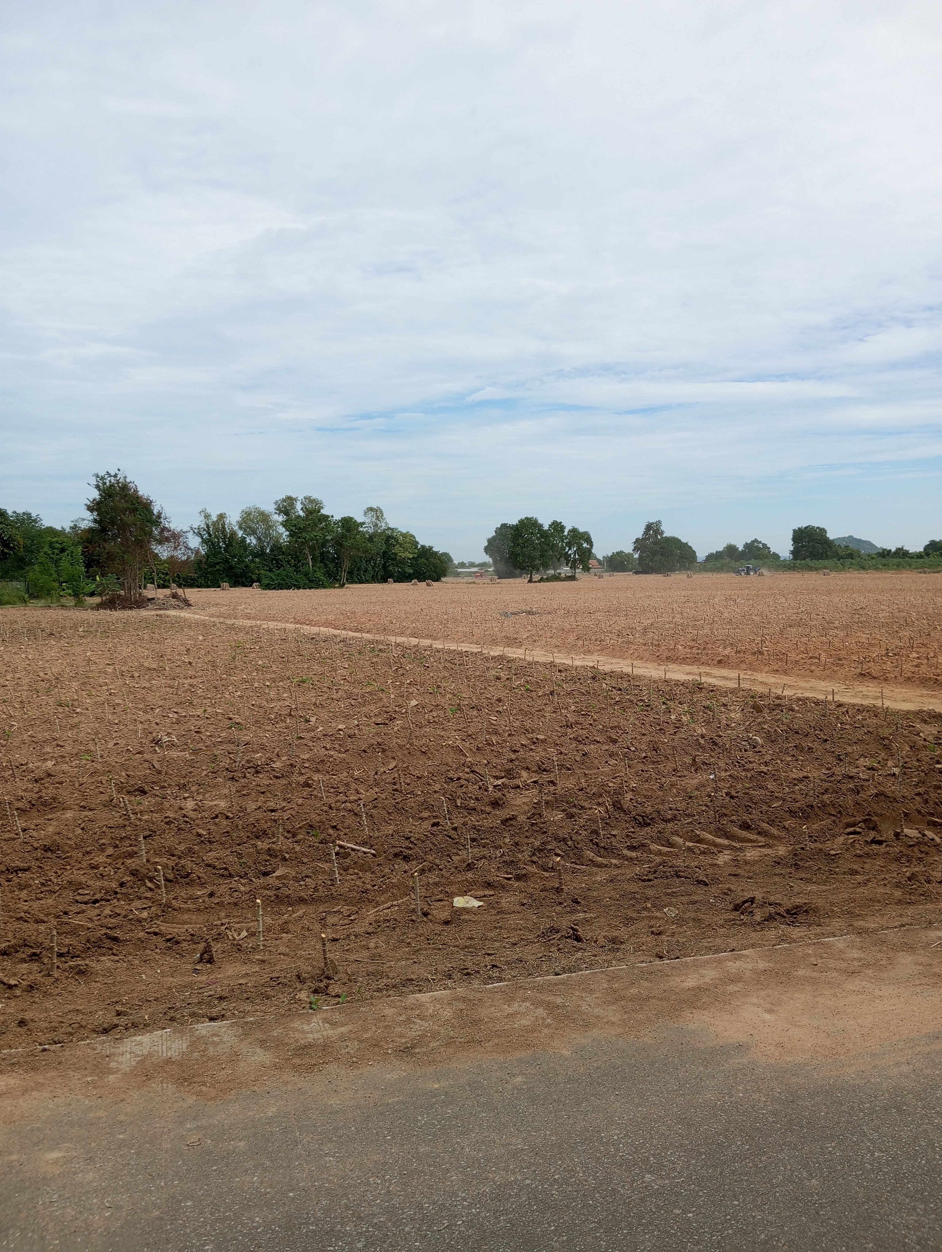ขายที่ดิน ห้วยใหญ่ บางละมุง หลังวัดทุ่งคา 2 ไร่