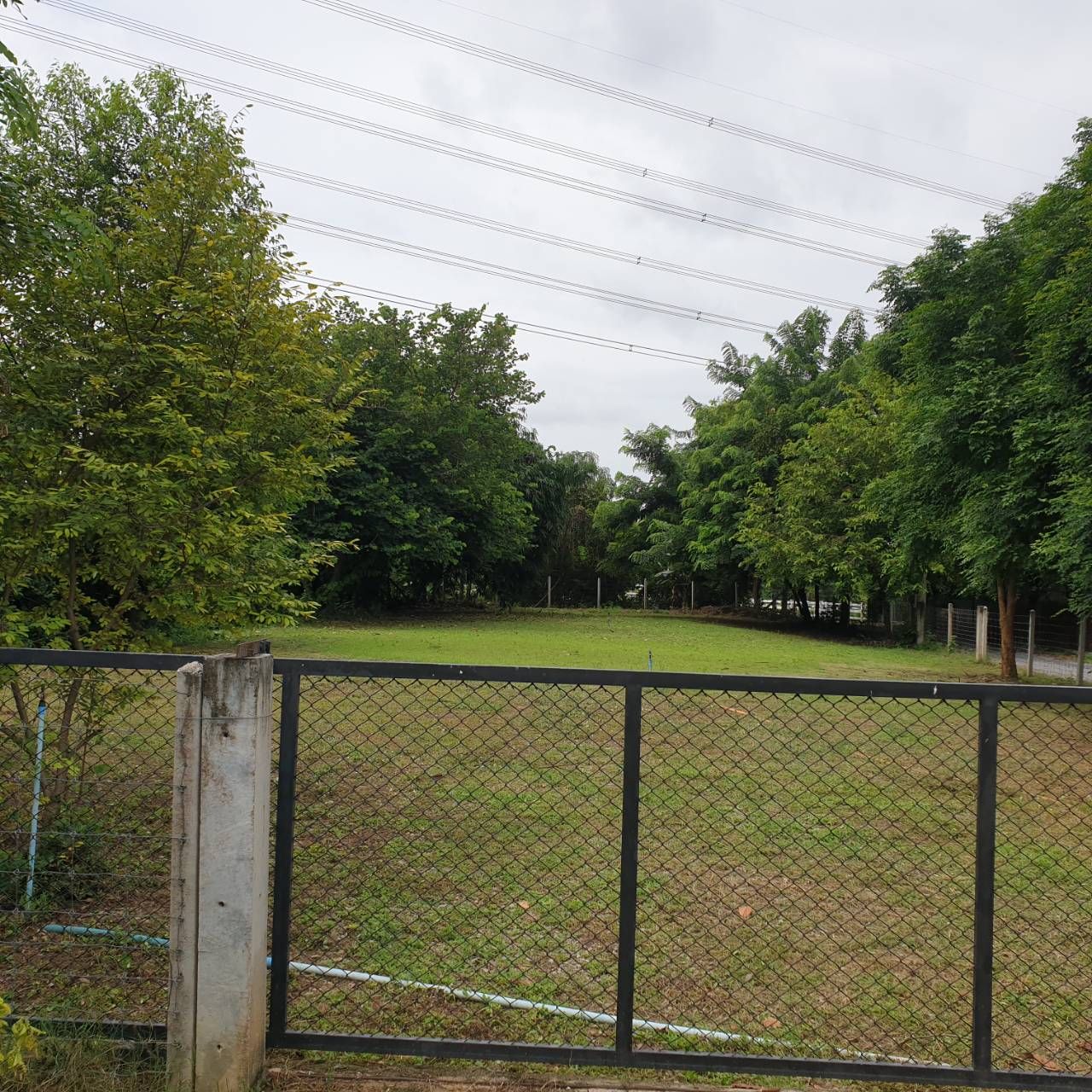 ขายที่ดินนครปฐม อำเภอเมืองฯ ที่ดินแปลงใวย ใกล้ชุมชน