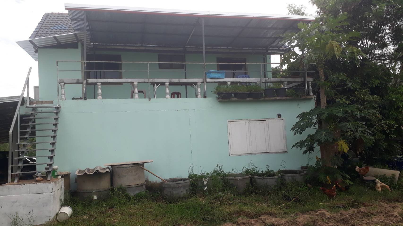 บ้านพร้อมที่ดิน เมืองกาฬสินธุ์ 3-2-57.6