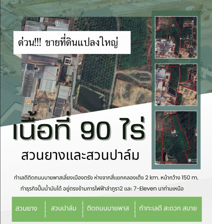 ขายที่ดินแปลงใหญ่ 90 ไร่ | ทำเลทอง อ.เมือง จ.ตรัง