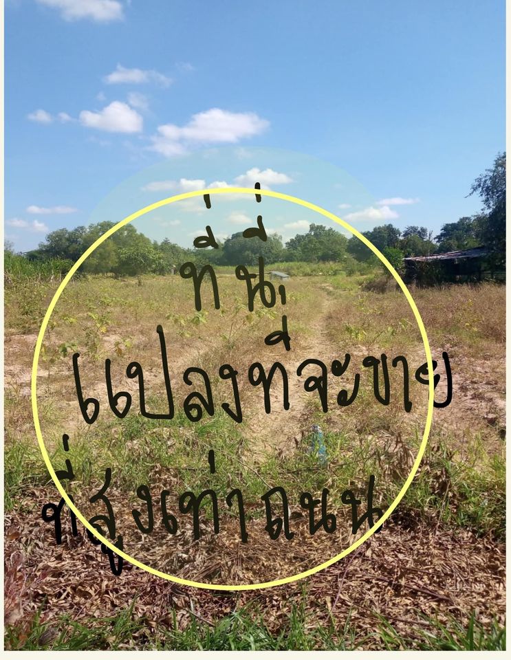 ที่ดินเขตเมืองขอนแก่น เหล่านาดี 1 งาน