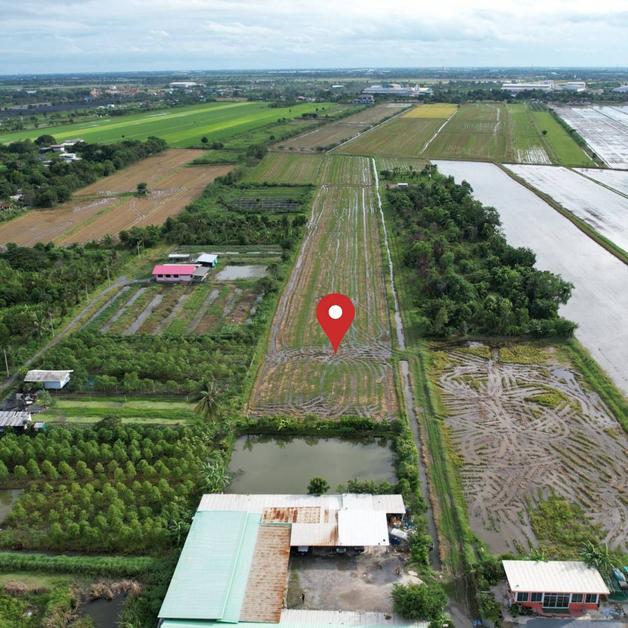 ขายที่ดินทำเลติดธรรมชาติ วิวทุ่งนา อากาศดีมาก เหมาะปลูกบ้านสวน