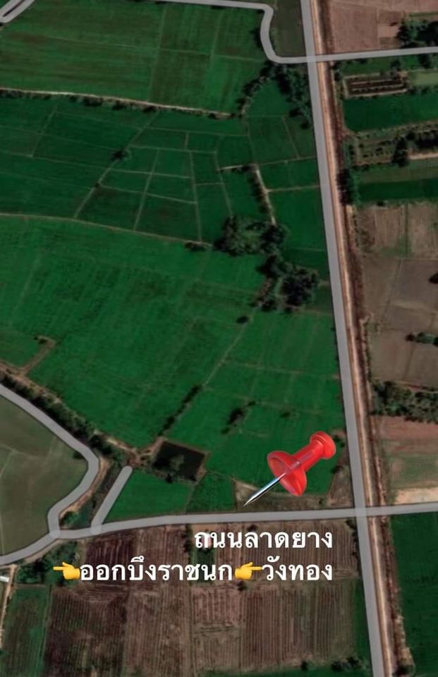 ขายที่ดินพิษณุโลก วัฃทอง 1-0-0