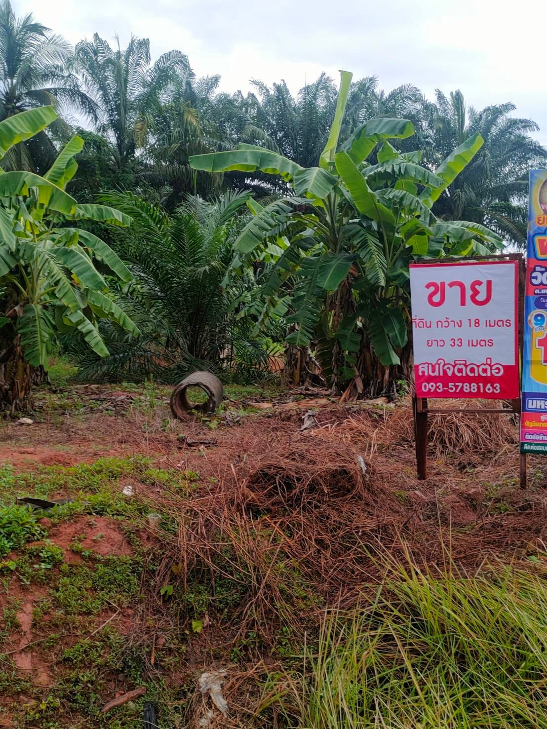 ที่ดินแปลงสวย คลองท่อม กระบี่ 