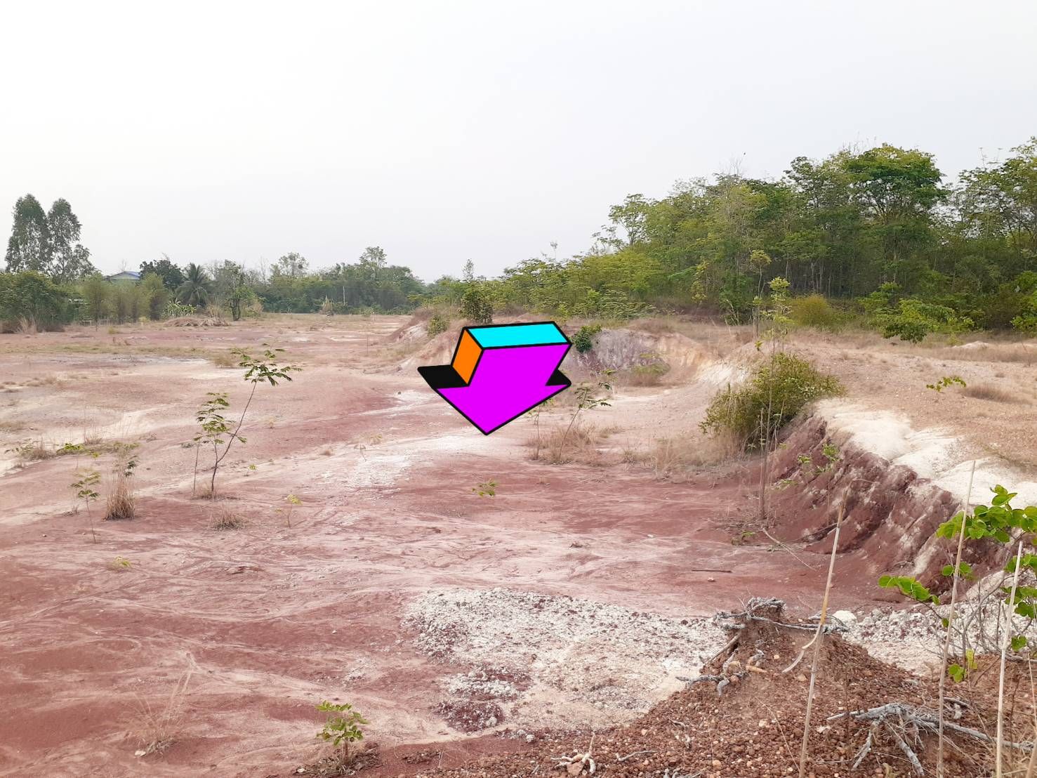 ขายที่ดินเมืองหนองบัวลำภู หนองบัวลำภู