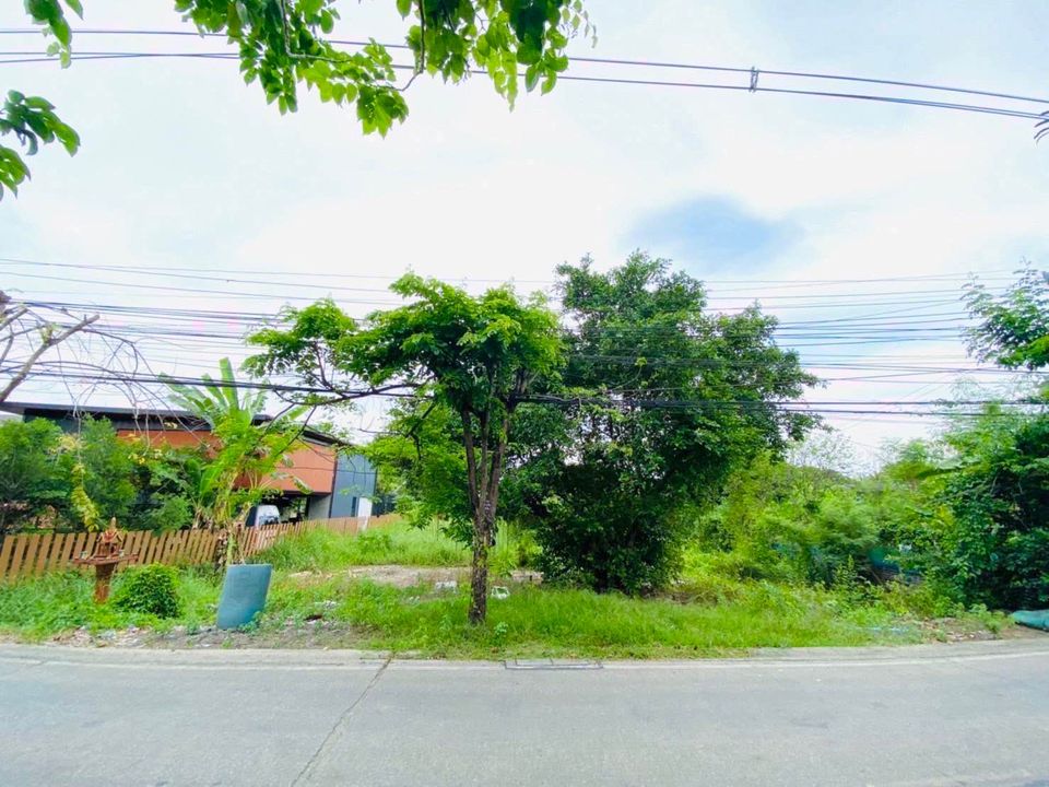ที่ดินเปล่า อ.พระประแดง จ.สมุทรปราการ 0-2-36 ไร่.
