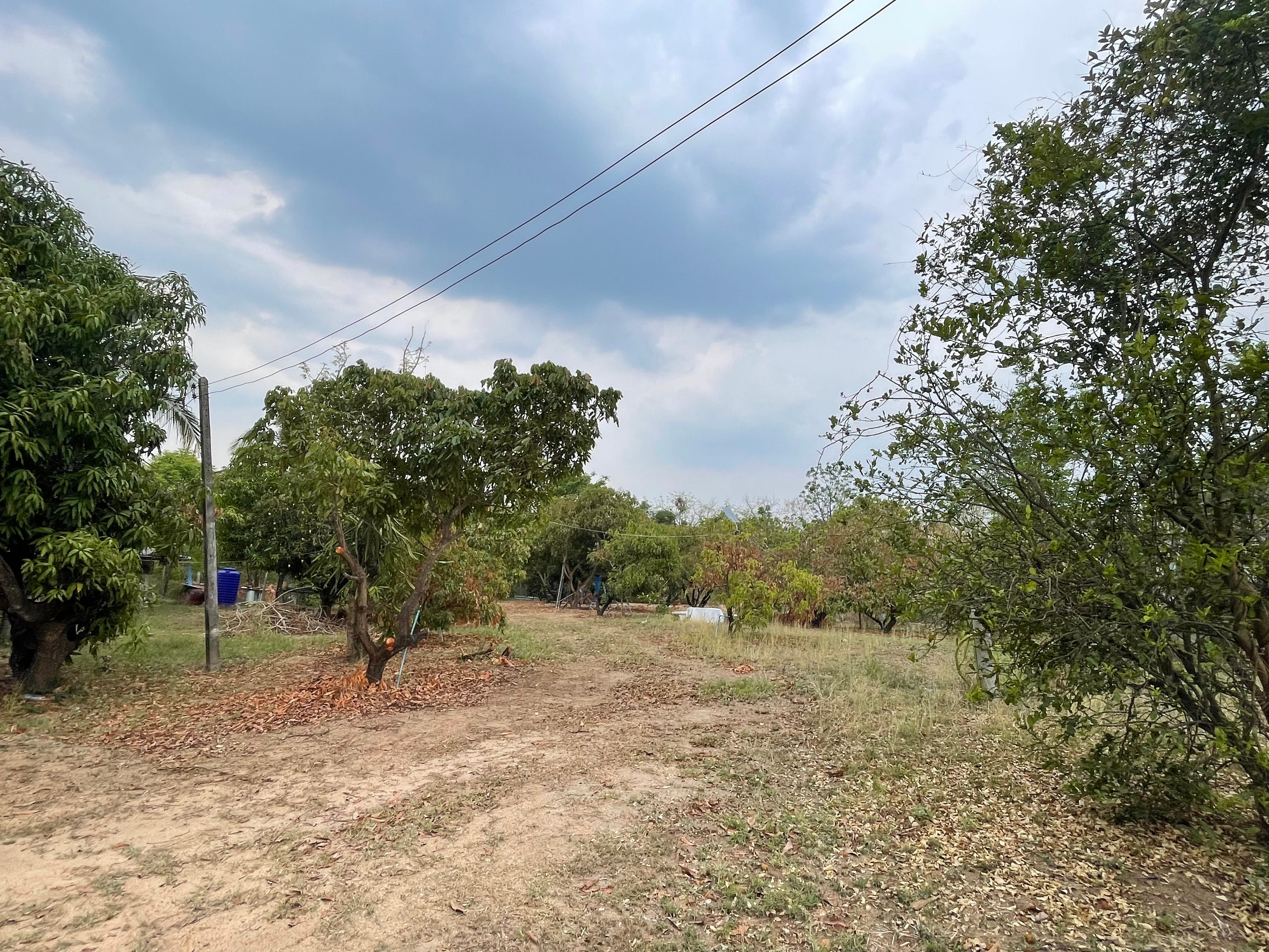ขายบ้านพร้อมที่ดิน