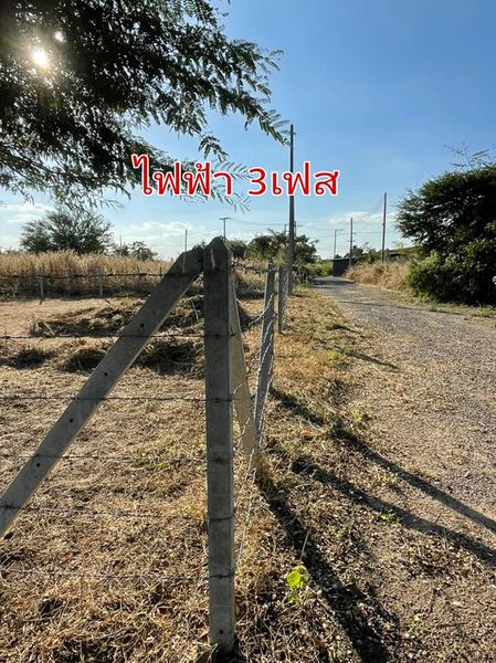 ที่​ดิน​ใกล้ชุมชน​อยู่ในเขตเทศบาลจอมพล​  จอมบึง ราชบุรี 150 ตรว.