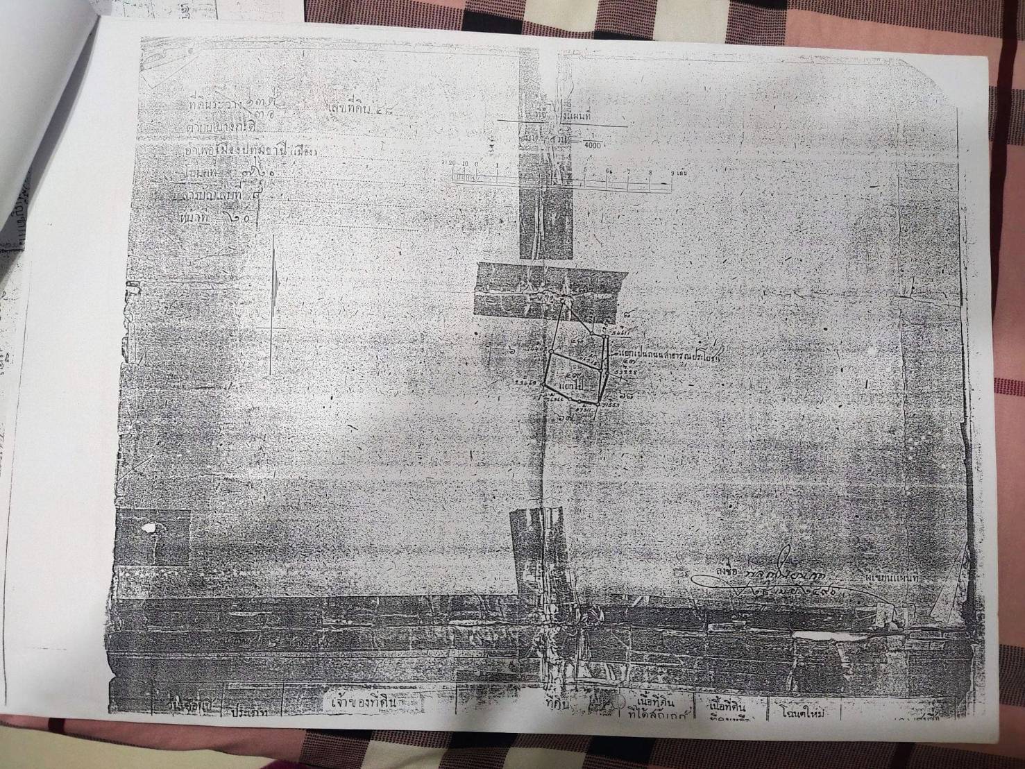 ขายที่ดินปทุมธานี เมืองปทุมธานี 3-3-44