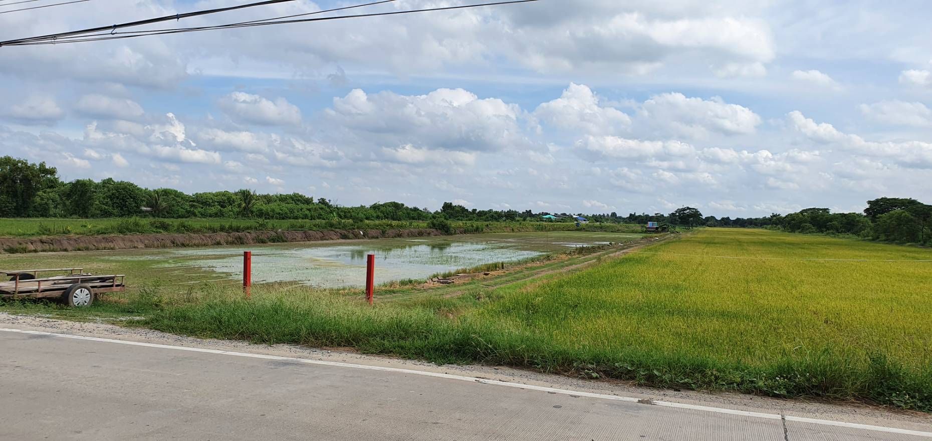 ขายที่ดิน ติดถนน 2 ด้าน ใกล้วัดเจดีย์หอย 