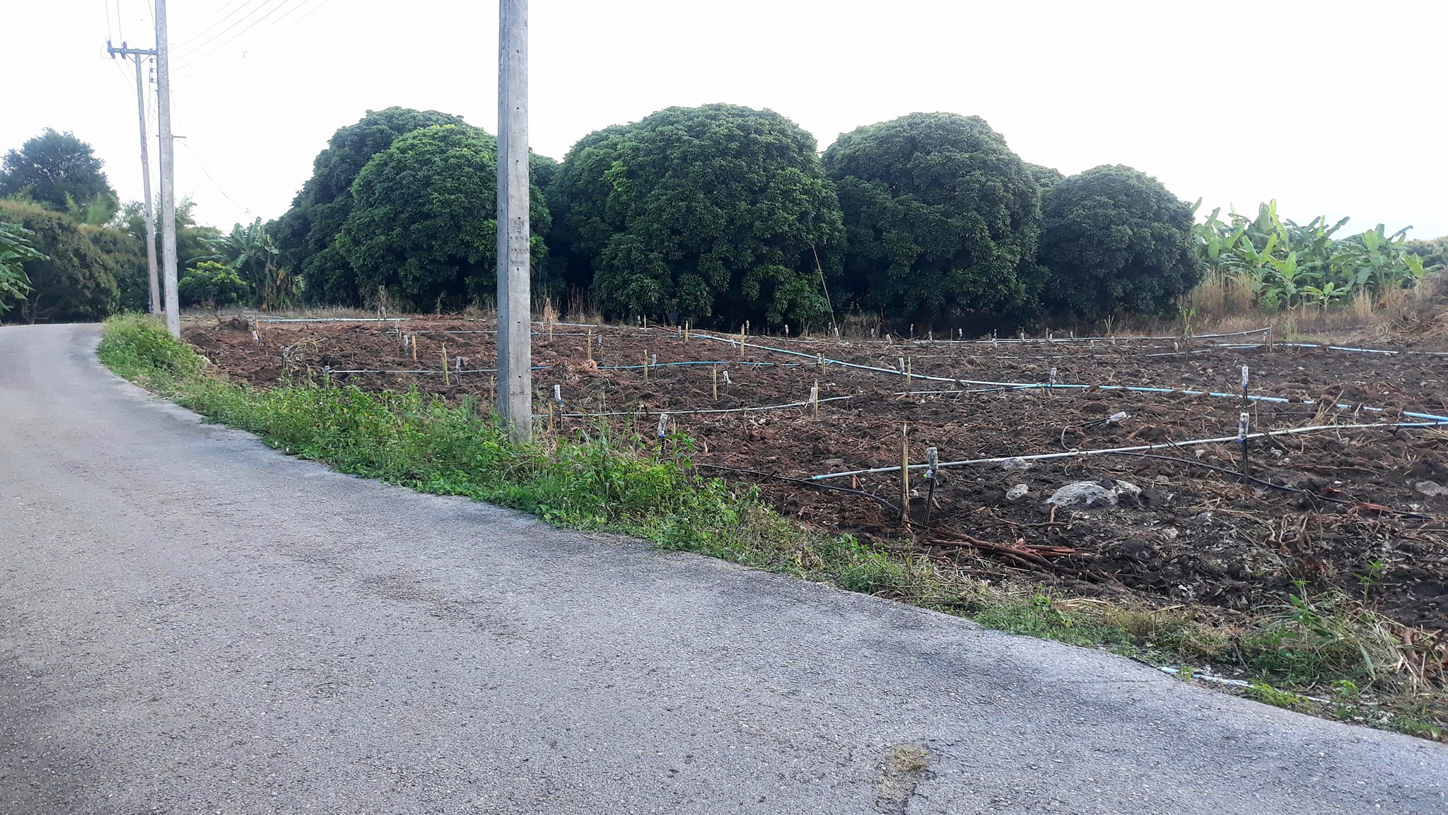 ขายที่ดินราชบุรี เมืองราชบุรี 6-2-42
