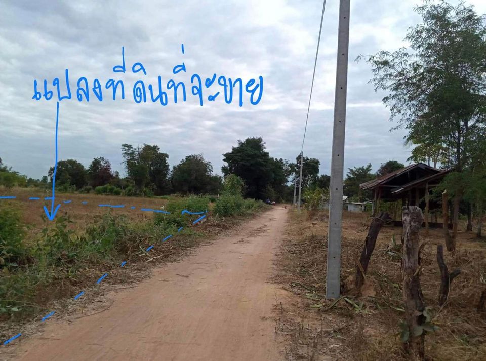 ที่ดินเขตเมืองขอนแก่น เหล่านาดี 1 งาน