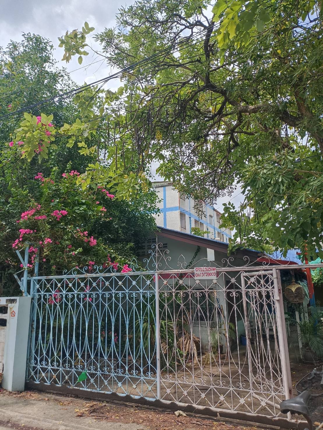 ขายถูกเท่าประเมิน183ตร.ว6.7ล้านบาทรวมโอน พหลโยธิน58แยก20 กทม.