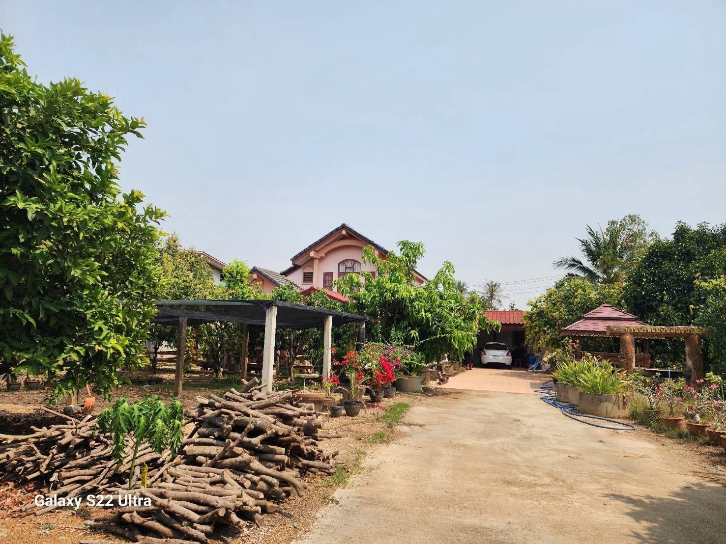 📢 ประกาศขายที่ดินพร้อมบ้านและสวนมะยงชิด ติดถนน.ศรีสัชนาลัย จ.สุโขทัย 