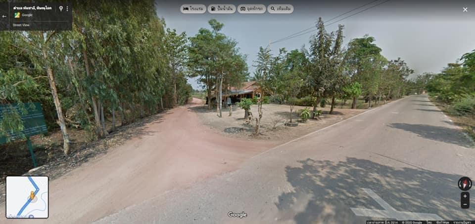 ที่ดินจังหวัดพิษณุโลก วังทอง 12-3-25