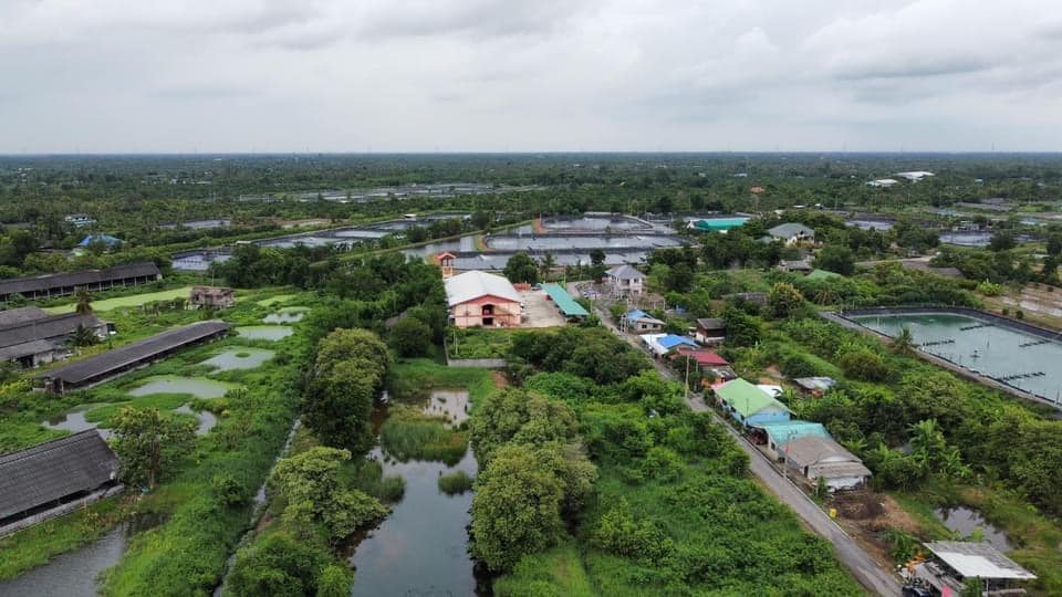 ที่ดินถมแล้วด้านหลังติดคลอง 203 ตร.ว ฉะเชิงเทรา