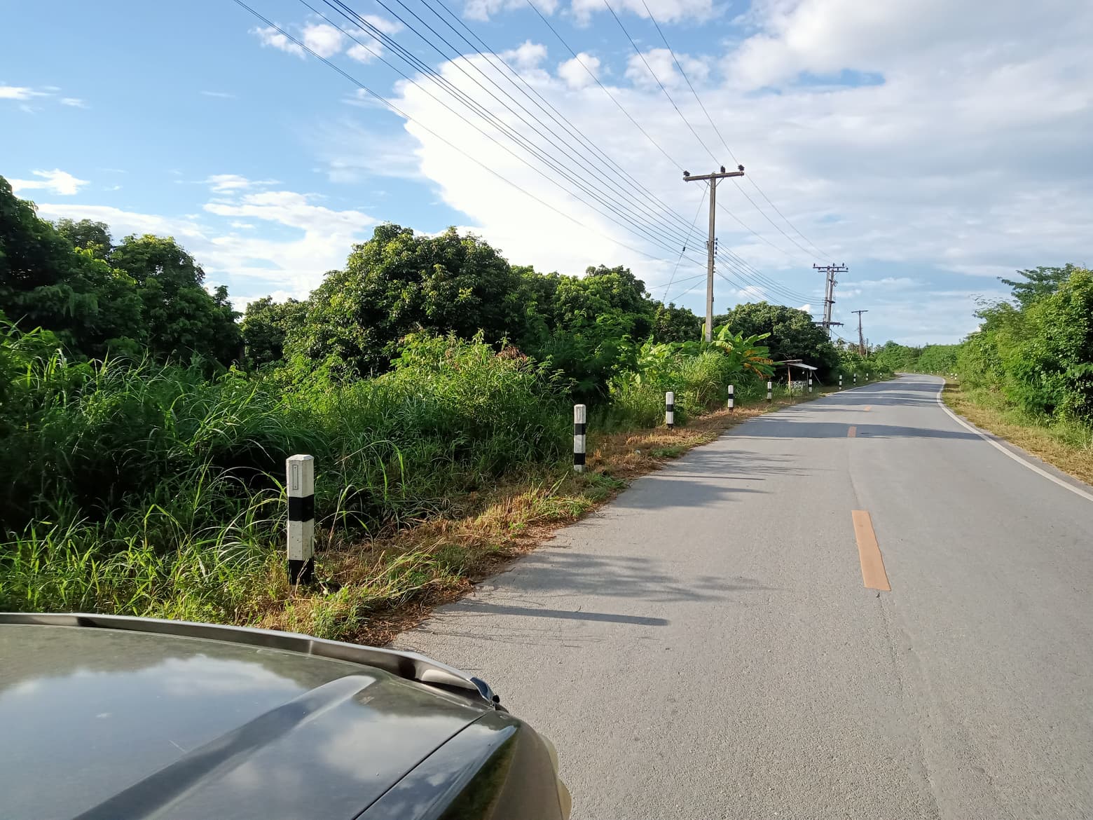 ที่ดินสวนลำไย ป่าซาง ลำพูน 49-1-74